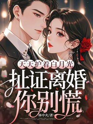 天天护着白月光，扯证离婚你别慌