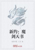 新约:魔剑天书