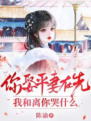 你娶平妻在先,我和离你哭什么