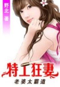 老婆太霸道:特工狂妻