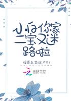 小白,你家二宝又迷路啦