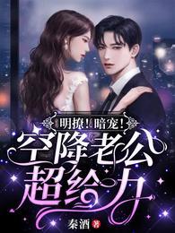 明撩!暗宠!空降老公超给力