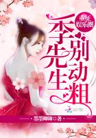 重征娱乐圈:季先生,别动粗!