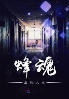蜂魂:虚构人生