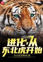 进化,从东北虎开始