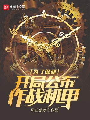 为了保研:开局公布作战机甲