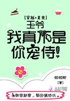 王爷,我真不是你宠侍!