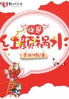 朕是红颜祸水