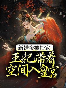 新婚夜被抄家,王妃带着空间入皇宫