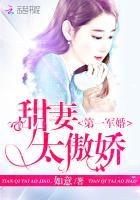 第一名门:甜妻太傲娇