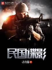 民国谍影(谍影风云)