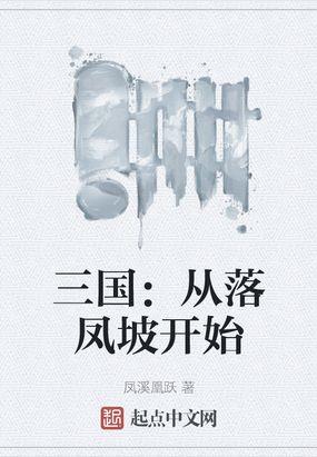 三国:从落凤坡开始